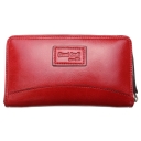 Gianni Conti, , 1768106-red